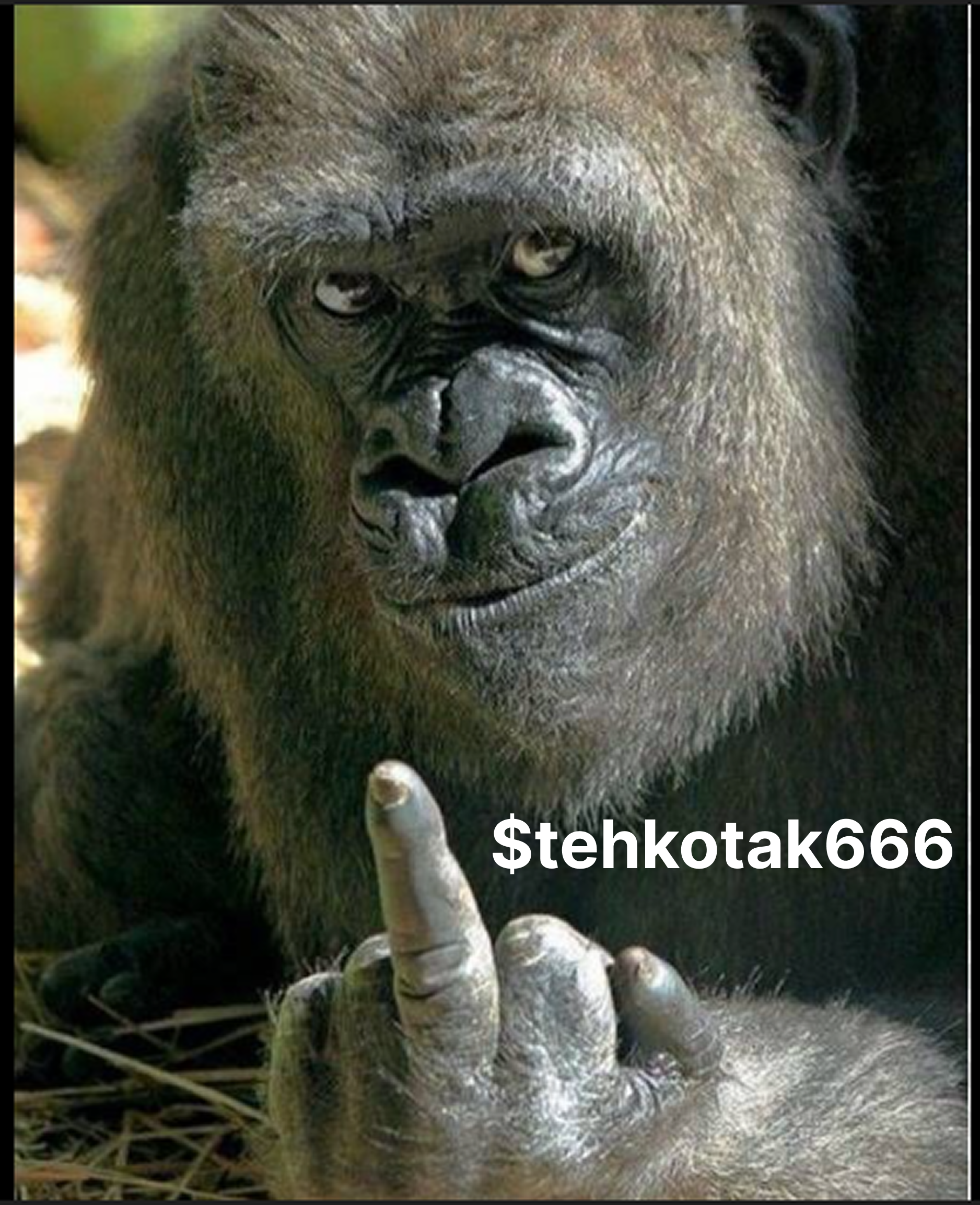 Deskripsi gambar ini